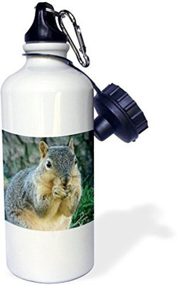 

3dRose 621 ml Water Purifier Bottle(White)