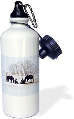 

3dRose 621 ml Water Purifier Bottle(White)