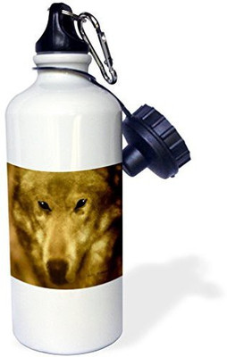 

3dRose 621 ml Water Purifier Bottle(White)