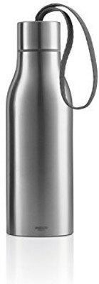 

Eva Solo 500 ml Water Purifier Bottle(Silver)