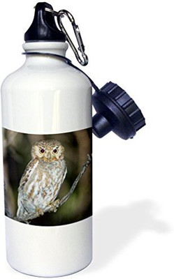 

3dRose 621 ml Water Purifier Bottle(White)