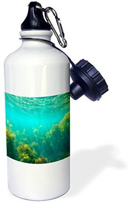 

3dRose 621 ml Water Purifier Bottle(White)