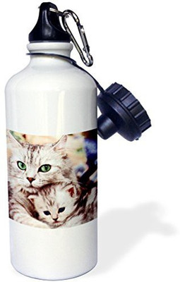 

3dRose 621 ml Water Purifier Bottle(White)