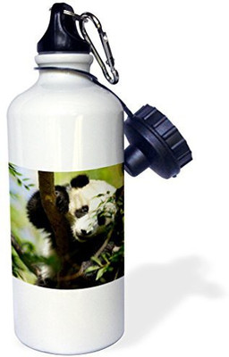 

3dRose 621 ml Water Purifier Bottle(White)