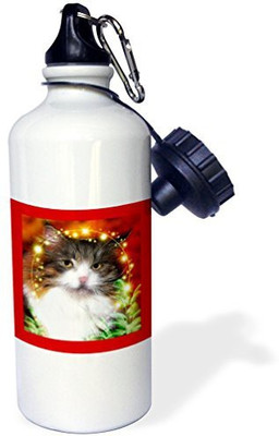 

3dRose 621 ml Water Purifier Bottle(White)