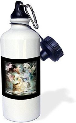 

3dRose 621 ml Water Purifier Bottle(White)