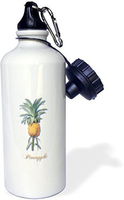 

3dRose 621 ml Water Purifier Bottle(White)