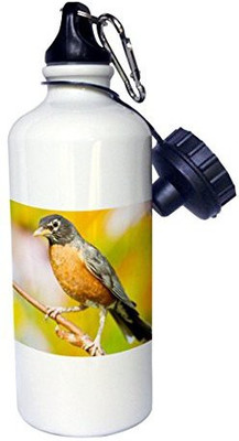 

3dRose 621 ml Water Purifier Bottle(White)