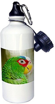 

3dRose 621 ml Water Purifier Bottle(White)
