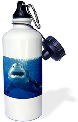 3dRose 621 ml Water Purifier Bottle(White)
