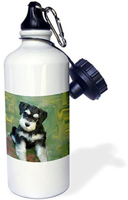 

3dRose 621 ml Water Purifier Bottle(White)