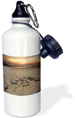

3dRose 621 ml Water Purifier Bottle(White)