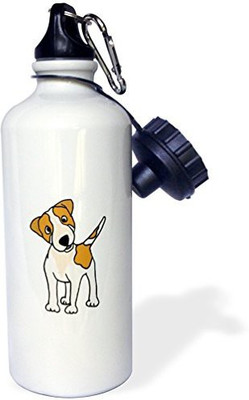 

3dRose 621 ml Water Purifier Bottle(White)