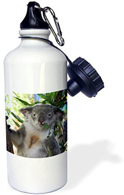 

3dRose 621 ml Water Purifier Bottle(White)