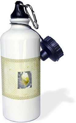 

3dRose 621 ml Water Purifier Bottle(White)