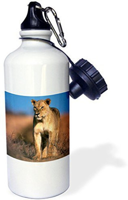 

3dRose 621 ml Water Purifier Bottle(White)