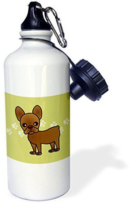 

3dRose 621 ml Water Purifier Bottle(White)