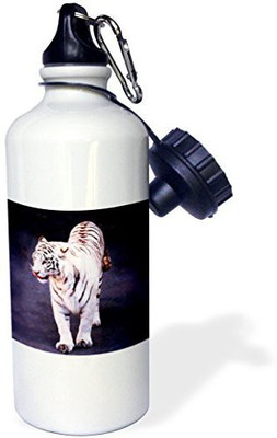 

3dRose 621 ml Water Purifier Bottle(White)