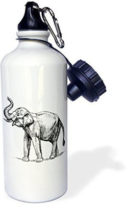

3dRose 621 ml Water Purifier Bottle(White)
