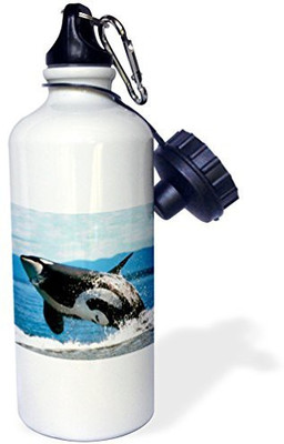 

3dRose 621 ml Water Purifier Bottle(White)