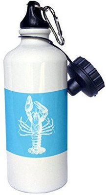 

3dRose 621 ml Water Purifier Bottle(White)