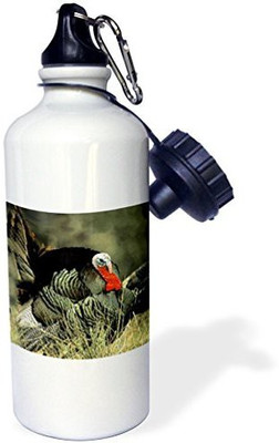 

3dRose 621 ml Water Purifier Bottle(White)
