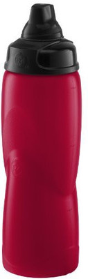 

Zak Designs 710 ml Water Purifier Bottle(Red)