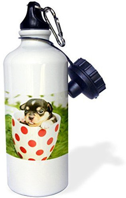 

3dRose 621 ml Water Purifier Bottle(White)