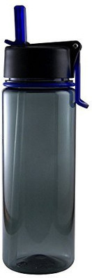 

Liquid Logic 651 ml Water Purifier Bottle(Blue)