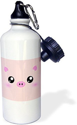 

3dRose 621 ml Water Purifier Bottle(White)