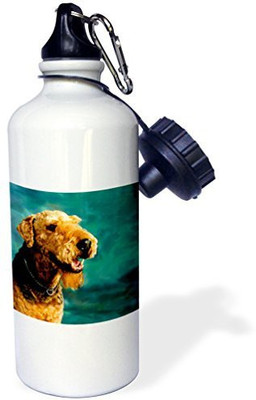 

3dRose 621 ml Water Purifier Bottle(White)