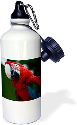 

3dRose 621 ml Water Purifier Bottle(White)