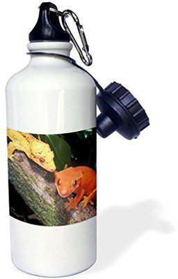 

3dRose 621 ml Water Purifier Bottle(White)