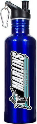 

Great American Products 769 ml Water Purifier Bottle(Blue)