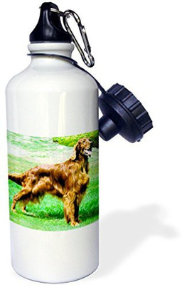 

3dRose 621 ml Water Purifier Bottle(White)