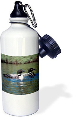 

3dRose 621 ml Water Purifier Bottle(White)