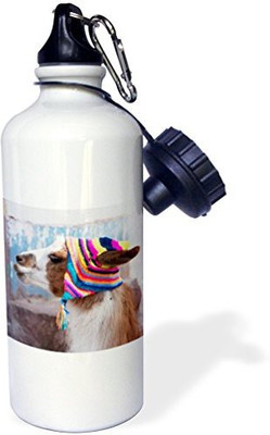 3dRose 621 ml Water Purifier Bottle(White)