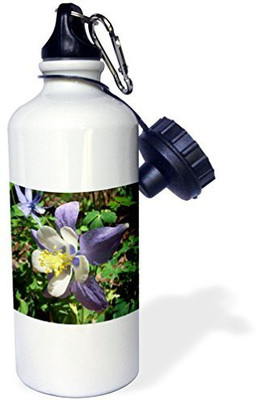 

3dRose 621 ml Water Purifier Bottle(White)