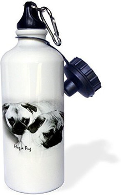 

3dRose 621 ml Water Purifier Bottle(White)