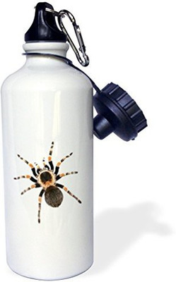 

3dRose 621 ml Water Purifier Bottle(White)
