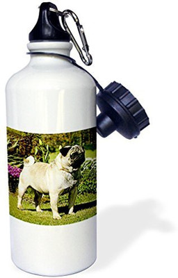 

3dRose 621 ml Water Purifier Bottle(White)