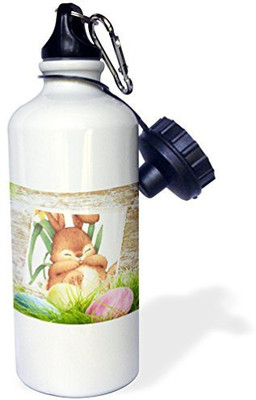 

3dRose 621 ml Water Purifier Bottle(White)