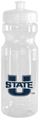 

Boelter Brands 710 ml Water Purifier Bottle(White)