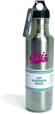 

Pinemeadow Green 798 ml Water Purifier Bottle(Silver)