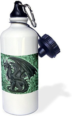 

3dRose 621 ml Water Purifier Bottle(White)