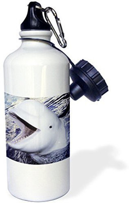 

3dRose 621 ml Water Purifier Bottle(White)