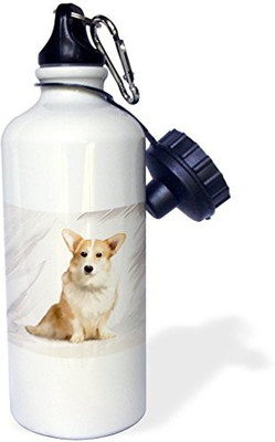 

3dRose 621 ml Water Purifier Bottle(White)