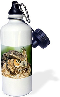 

3dRose 621 ml Water Purifier Bottle(White)