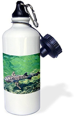 

3dRose 621 ml Water Purifier Bottle(White)