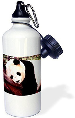 

3dRose 621 ml Water Purifier Bottle(White)